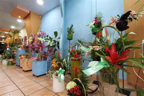 interflora benidorm